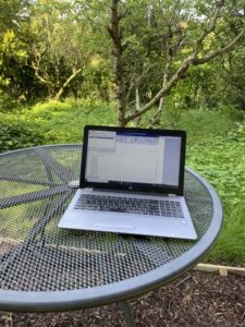 workstation in orchard