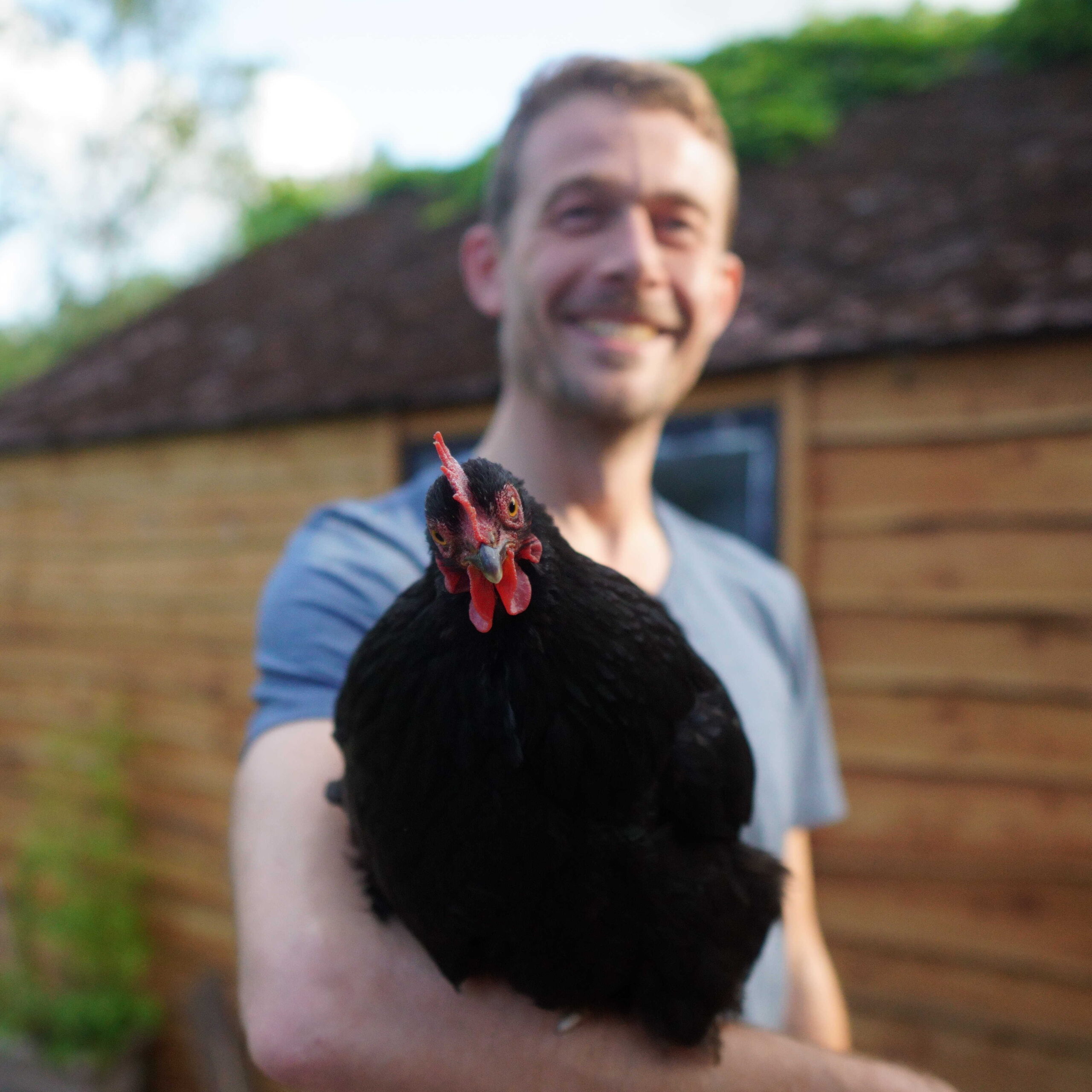 Andrew Gray and chicken