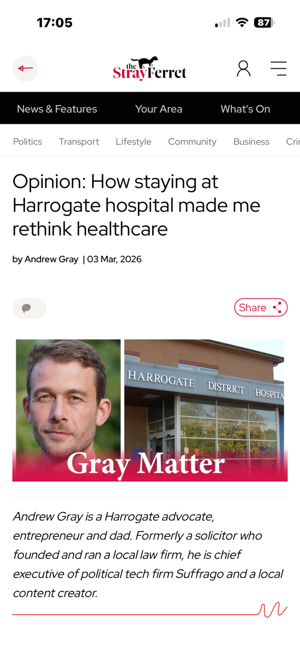 stray ferret gray matter hopsital